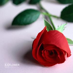 Số lượng bông hồng khi tặng hoa có ý nghĩa gì ?