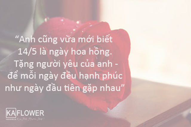 ngày của hoa hồng tình yêu