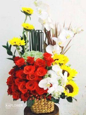Dien hoa hoa thanh tay ninh