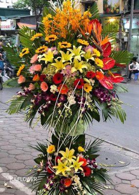 Hoa khai truong hoai duc