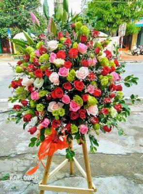 hoa khai truong mong cai