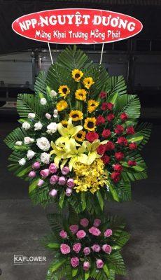 hoa khai truong my tho tien giang dep