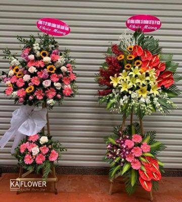 hoa khai truong ninh binh
