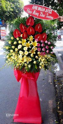 Hoa khai truong sa dec