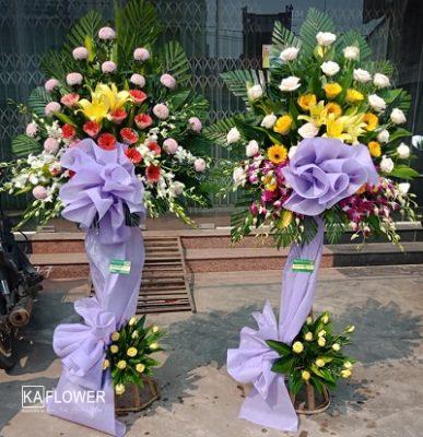Hoa khai truong chau o binh son quang ngai