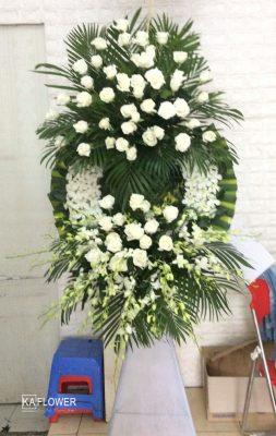 hoa dam tang quan 7