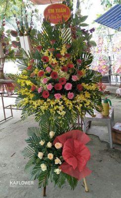 Hoa tuoi An Phu An Giang