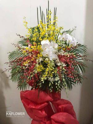 Hoa tuoi cam my