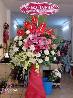 Hoa tuoi duong minh chau tay ninh