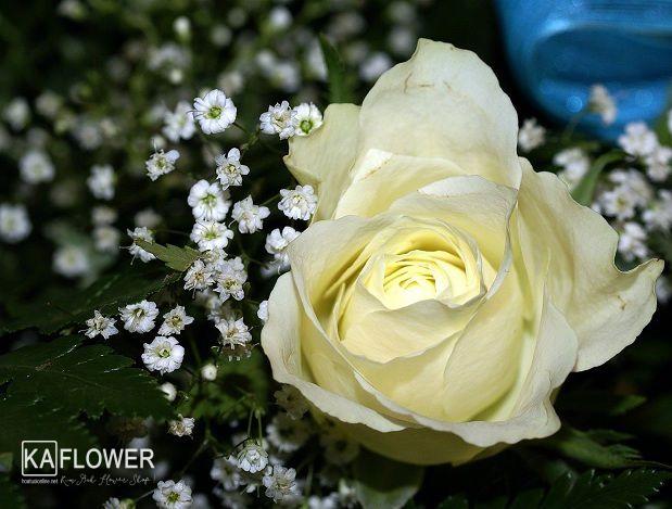 Shop hoa tươi nguyễn duy trinh quận 2