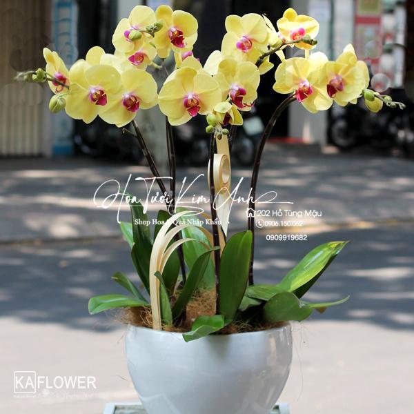 Phồn Hậu