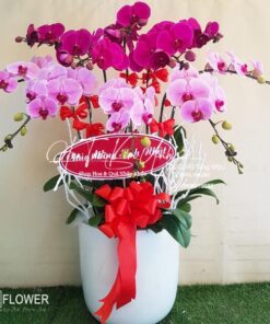 Lời Chúc Tốt Đẹp