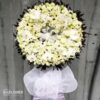HOA CHIA BUỒN LẮNG ĐỌNG