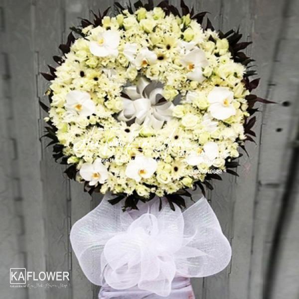 HOA CHIA BUỒN LẮNG ĐỌNG