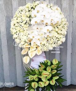 Hoa Chia Buồn Ký Ức
