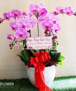 Trọn Vẹn 2