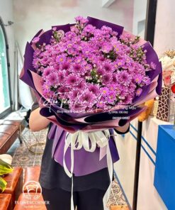 Cánh Đồng Tím