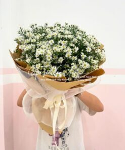 Tinh Khiết (Thạch Thảo Trắng)